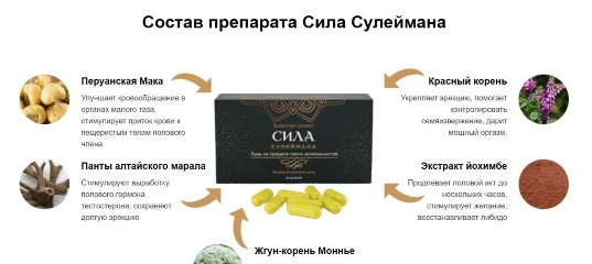 Купить препарат для мужчин Сила Сулеймана цена в аптеке, состав.