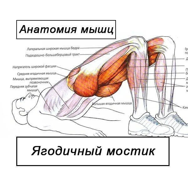 Подскажите препарат для продления полового акта