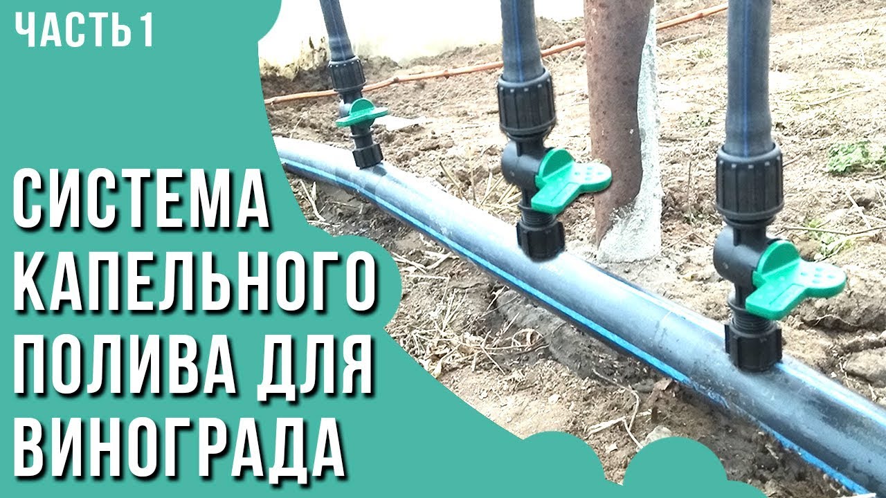 Виагра цены, аналоги и наличие препарата в аптеках Минска Купить.