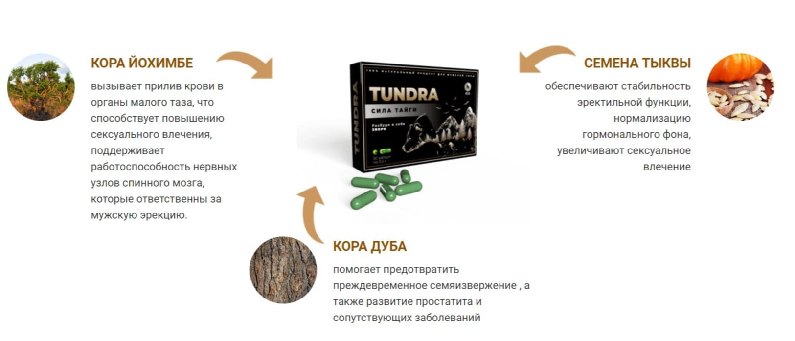 Капсулы Tундра для потенции - инструкция по применению.